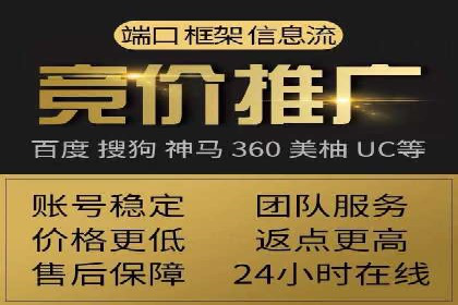 行业领先企业的SEM代理案例剖析